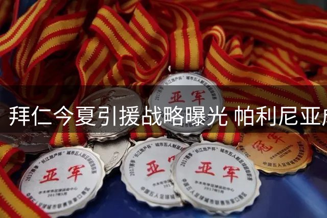 拜仁今夏引援战略曝光 帕利尼亚成首要清洗目标