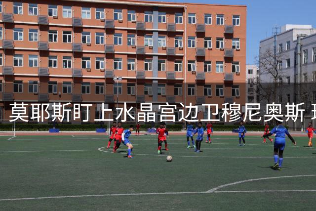 莫耶斯盯上水晶宫边卫穆尼奥斯 球员今夏可能离队